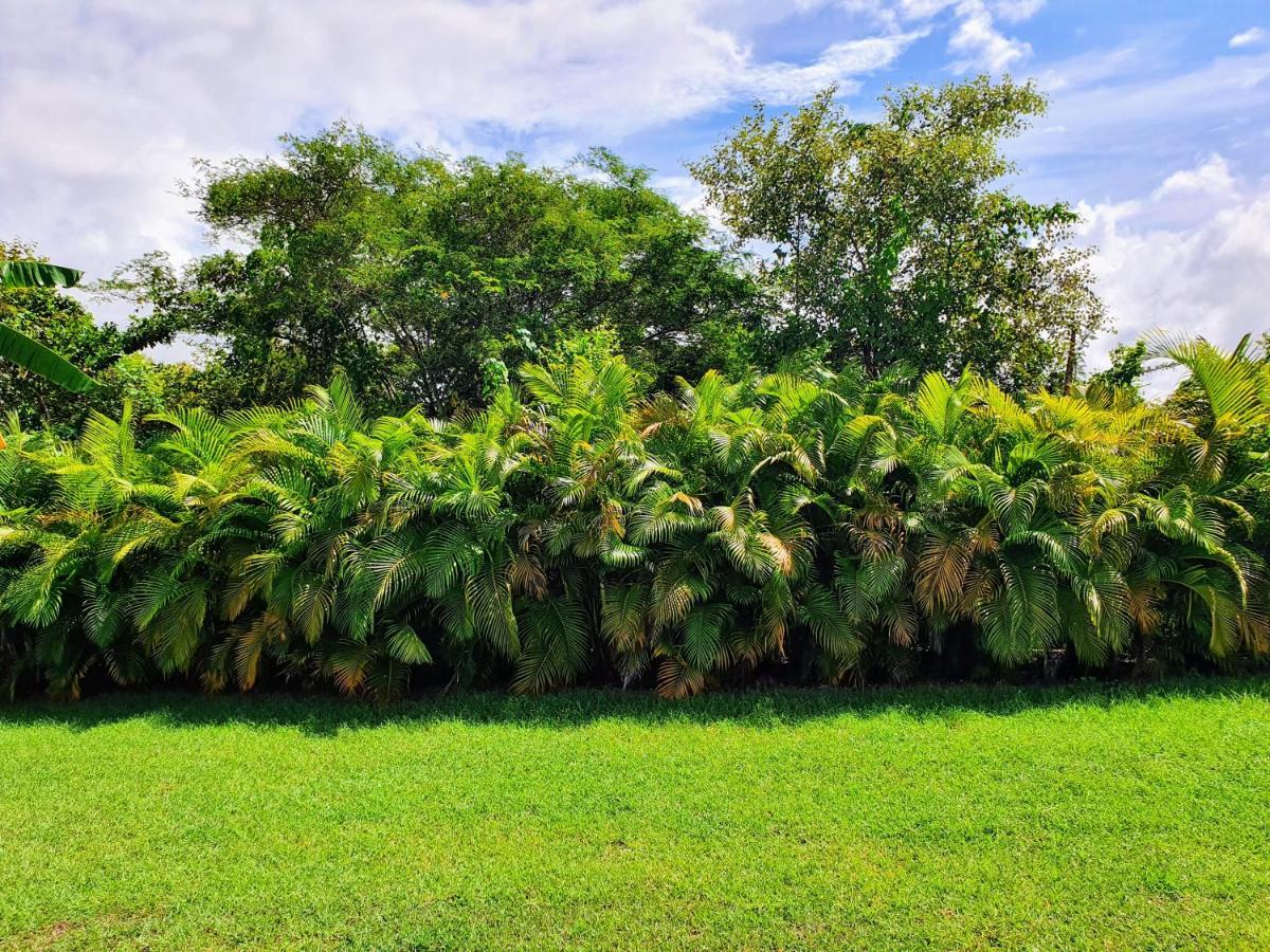 Villa Ohana Sainte-Anne  Exteriér fotografie